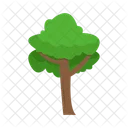 Arbol Naturaleza Planta Icon