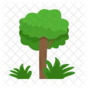 Arbol Naturaleza Planta Icon