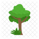 Arbol Naturaleza Planta Icon