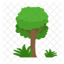 Arbol Naturaleza Planta Icon