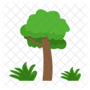 Arbol Naturaleza Planta Icon