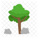 Arbol Naturaleza Planta Icon