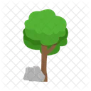 Arbol Naturaleza Planta Icon