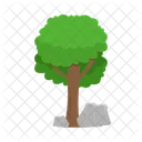 Arbol Naturaleza Planta Icon