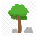 Arbol Naturaleza Planta Icon