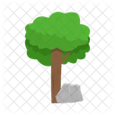 Arbol Naturaleza Planta Icon