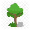 Arbol Naturaleza Planta Icon