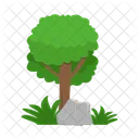 Arbol Naturaleza Planta Icon