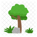 Arbol Naturaleza Planta Icon