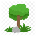 Arbol Naturaleza Planta Icon