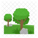 Arbol Naturaleza Planta Icon