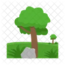 Arbol Naturaleza Planta Icon