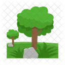 Arbol Naturaleza Planta Icon