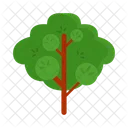 Arbol Naturaleza Planta Icon