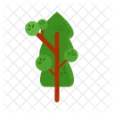 Arbol Naturaleza Planta Icon