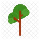 Arbol Naturaleza Planta Icon