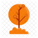 Arbol Naturaleza Planta Icon