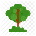 Arbol Naturaleza Planta Icon