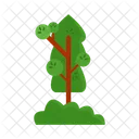 Arbol Naturaleza Planta Icon