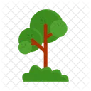 Arbol Naturaleza Planta Icon