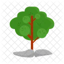 Arbol Naturaleza Planta Icon