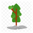 Arbol Naturaleza Planta Icon