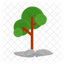 Arbol Naturaleza Planta Icon