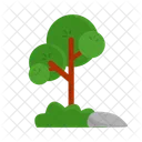 Arbol Naturaleza Planta Icon