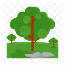 Arbol Naturaleza Planta Icon