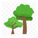 Arbol Naturaleza Planta Icon