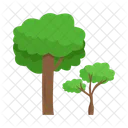 Arbol Naturaleza Planta Icon