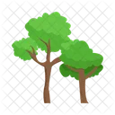 Arbol Naturaleza Planta Icon