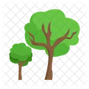 Arbol Naturaleza Planta Icon