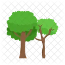 Arbol Naturaleza Planta Icon