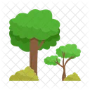 Arbol Naturaleza Planta Icon