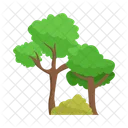 Arbol Naturaleza Planta Icon