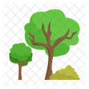 Arbol Naturaleza Planta Icon