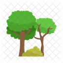 Arbol Naturaleza Planta Icon