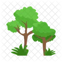 Arbol Naturaleza Planta Icon