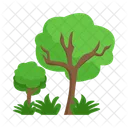 Arbol Naturaleza Planta Icon