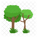 Arbol Naturaleza Planta Icon