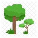 Arbol Naturaleza Planta Icon