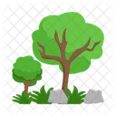 Arbol Naturaleza Planta Icon