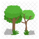 Arbol Naturaleza Planta Icon