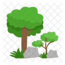 Arbol Naturaleza Planta Icon