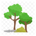 Arbol Naturaleza Planta Icon