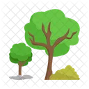 Arbol Naturaleza Planta Icon