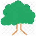 Árbol  Icono