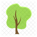 Arbol Natural Ecologia Icon