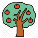 Manzana Arbol Fruta Icon